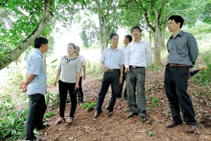 Kiểm tra và nghiệm thu đề tài “Nghiên cứu biện pháp phòng trừ sâu đục quả xoài trên địa bàn tỉnh Sơn La”