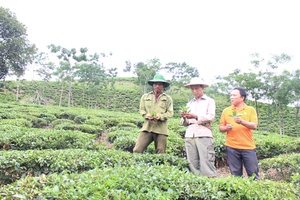 Chiềng Khoa quan tâm, chăm lo cho người có công