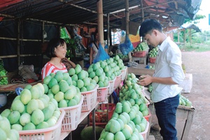 Đẩy mạnh kết nối, tiêu thụ nông sản địa phương