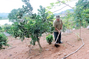 Người thương binh làm kinh tế giỏi   