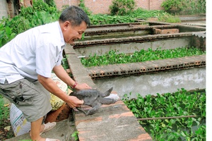 Thương binh làm kinh tế giỏi