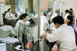 Toàn tỉnh: Dư nợ tín dụng đạt 19.700 tỷ đồng