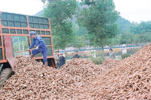 Chỉ số sản xuất công nghiệp toàn tỉnh tăng 2,57%