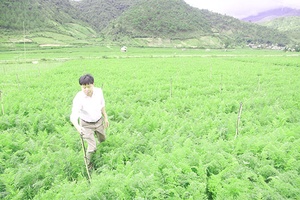 Ngọc Chiến - Đà Lạt trên vùng Tây Bắc