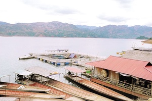 Toàn tỉnh: Có 21 hợp tác xã và doanh nghiệp nuôi thủy sản