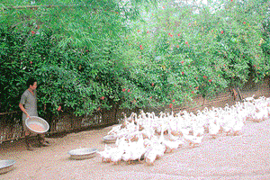 Nhịp sống mới ở Nà Mường