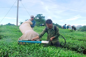 Cựu chiến binh làm kinh tế giỏi