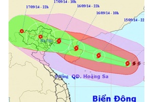 Chỉ đạo ứng phó với cơn bão số 3