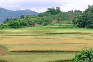 Mường Chanh vùng đất giàu truyền thống cách mạng 