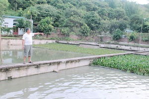 Vốn vay ưu đãi giúp người dân thoát nghèo