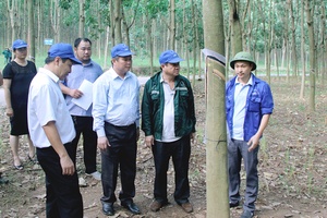 UBND tỉnh làm việc với Công ty cổ phần Cao su Sơn La