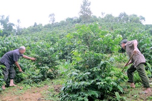 Chiềng Ve tìm hướng thoát nghèo