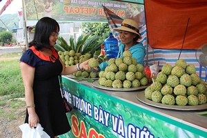 Nâng cao vị thế hợp tác xã