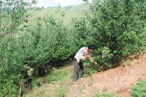 Đảng bộ Thuận Châu: Tập trung lãnh đạo thực hiện thắng lợi nhiệm vụ phát triển kinh tế, xã hội năm 2016