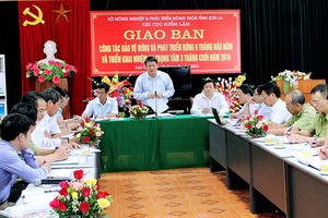 Tăng cường công tác bảo vệ và phát triển rừng