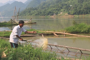 Về vùng quê cách mạng Quang Minh