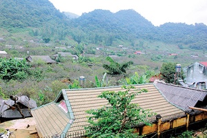 Lóng Luông -  Chuyển mình trong Phương án 279