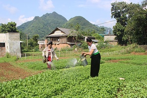 Phong trào nông dân thi đua sản xuất kinh doanh giỏi ở xã Thôm Mòn: Giúp nhau vươn lên làm giàu