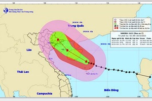 Tin mới nhất về cơn bão số 7: Tâm bão gió giật cấp 16, mưa to trên diện rộng