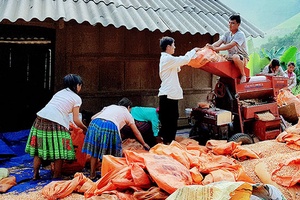 Suối Tọ chú trọng công tác phát triển Đảng