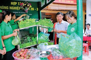 Hướng mở cho nông nghiệp phát triển bền vững