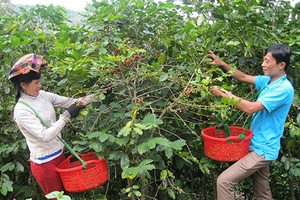 Muổi Nọi chú trọng công tác xây dựng Đảng