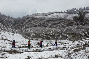 Triển lãm ảnh “Hương sắc trăm miền” năm 2016