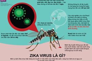 TP.Hồ Chí Minh phát hiện thêm 3 ca nhiễm virus Zika