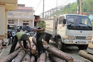 Nâng cao hiệu quả công tác phòng, chống tham nhũng