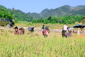Ghi ở Song Khủa