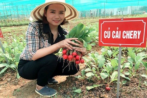 Cán bộ Đoàn làm kinh tế giỏi