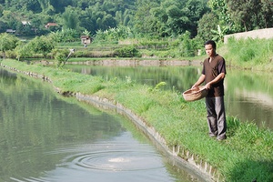 Những người lính trên trận tuyến mới