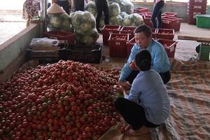 Triển vọng từ Đề án phát triển HTX trong chuỗi liên kết tiêu thụ nông sản