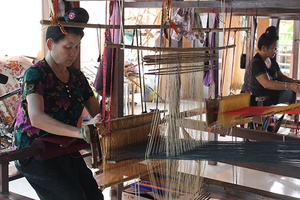 Toàn tỉnh: Thành lập 62 hợp tác xã sản xuất, kinh doanh