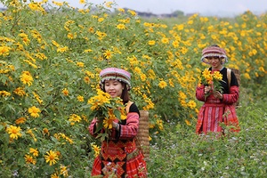 Xúc tiến, quảng bá, phát triển du lịch