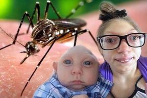 Đừng để "thấp thỏm" vì virus Zika và các bệnh truyền nhiễm