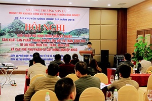 Hội nghị giới thiệu mô hình sản xuất sản phẩm thanh nhiên liệu đốt và than sinh học từ phế phụ phẩm từ cây nông nghiệp