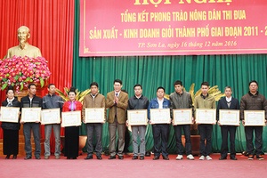 Thành phố:  Tổng kết 5 năm phong trào nông dân thi đua sản xuất, kinh doanh giỏi giai đoạn 2011-2016