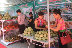 Thành công Tuần hàng nông sản thực phẩm an toàn tại Hà Nội