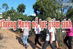 Chiềng Mung nỗ lực giảm sinh