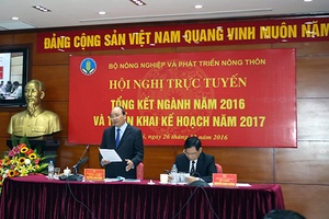 Đẩy mạnh tái cơ cấu ngành nông nghiệp phát triển theo chiều sâu