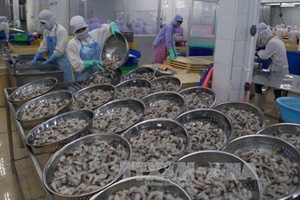 Vasep cảnh báo lừa đảo thông qua giao dịch xuất khẩu thủy sản