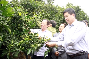 Huy động mọi nguồn lực, phấn đấu hoàn thành thắng lợi nhiệm vụ phát triển kinh tế - xã hội năm 2017