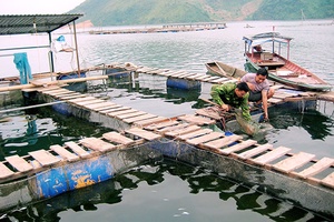 Đánh thức tiềm năng vùng hồ các thủy điện Sơn La