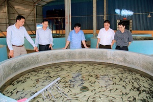 Nông dân Sơn La thời hội nhập