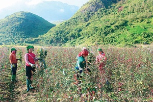 Trải nghiệm Ngọc Chiến