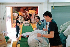 Những cánh én  mùa xuân