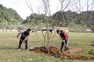 Vân Hồ sẵn sàng cho Ngày hội hoa đào năm 2019