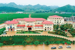 Xuân mới Vân Hồ