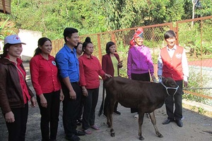 Huyện Đoàn Thuận Châu: Nhiều hoạt động Xuân tình nguyện 2019